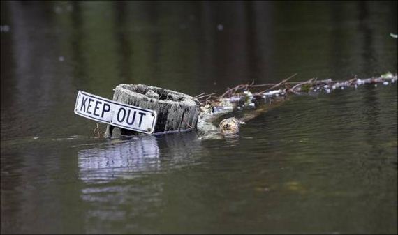 south_carolina_is_covered