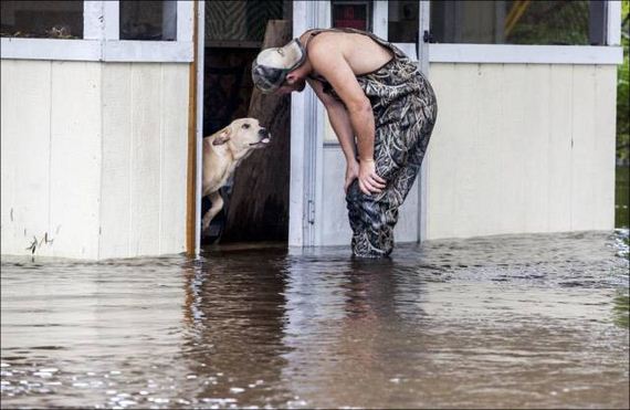 south_carolina_is_covered