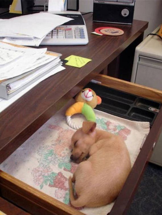 work_fails_job_lols