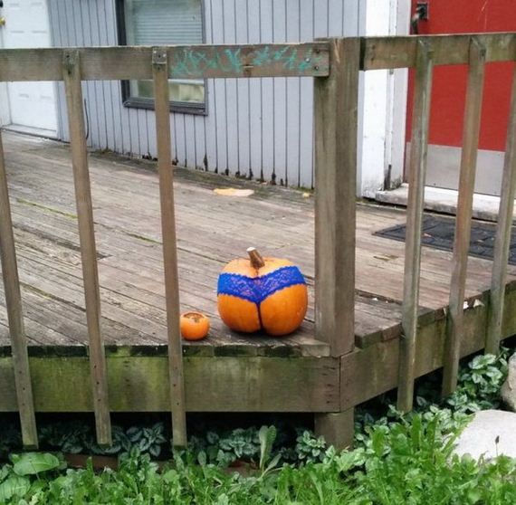 Hump-Day-Butts-11