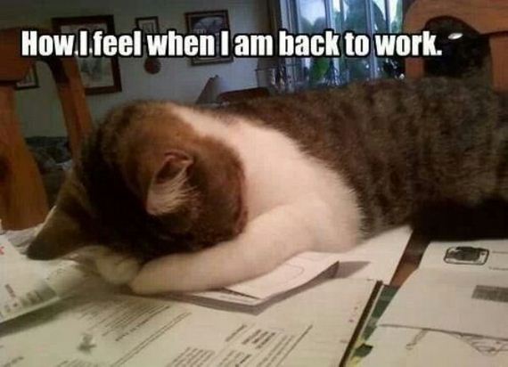 Work-happens