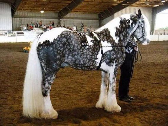 awesome_photos_01