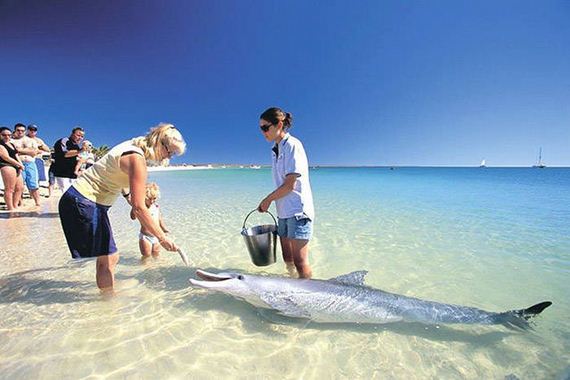 awesome_photos_01