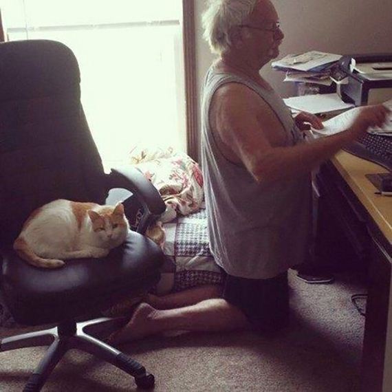 caturday
