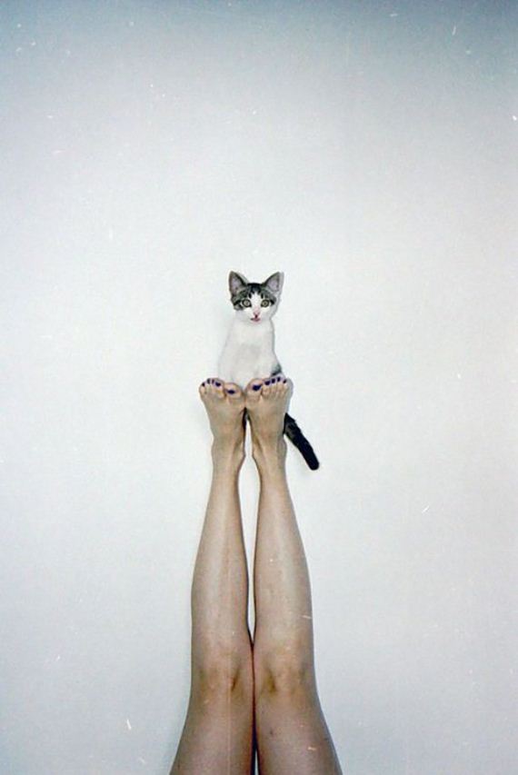 caturday