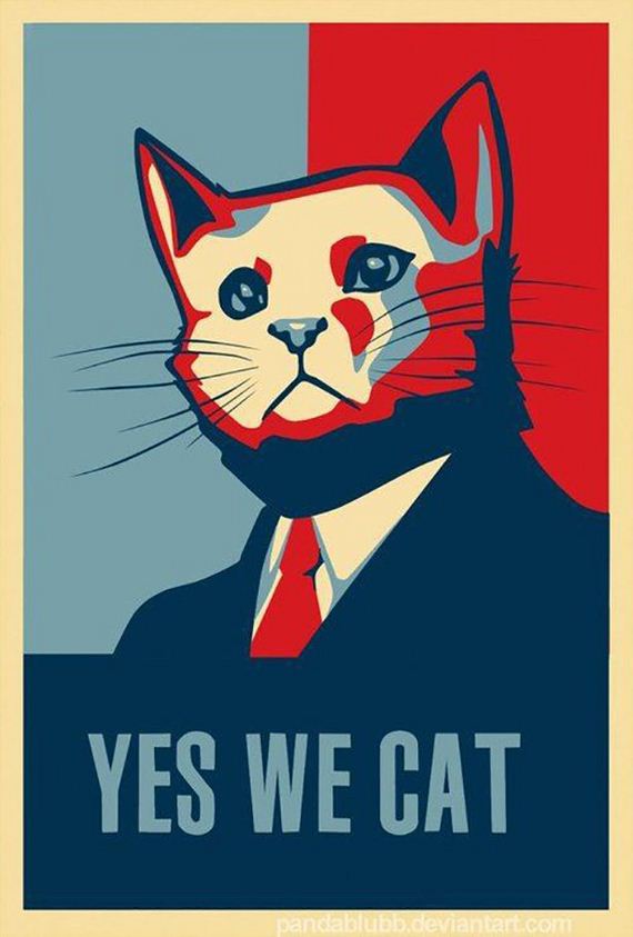 caturday