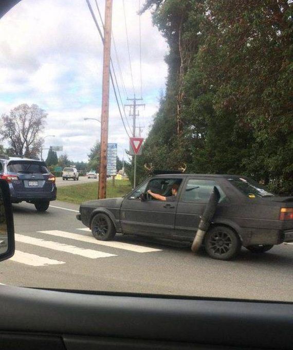 funny-pictures-1093