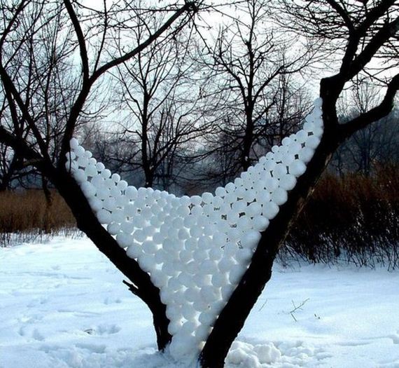 funny-pictures-1093