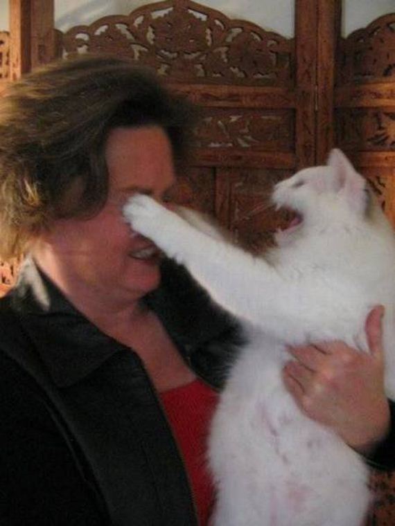 funny-pictures-1093