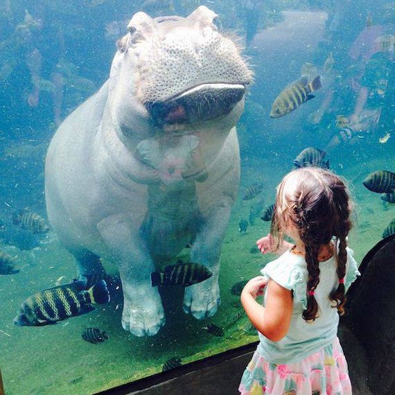 funny-pictures-1094
