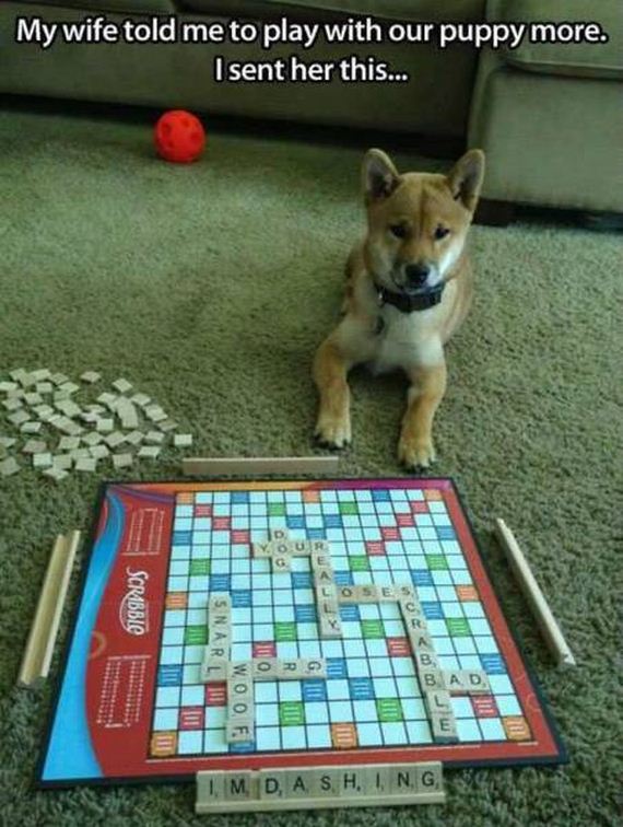 funny-pictures-1094