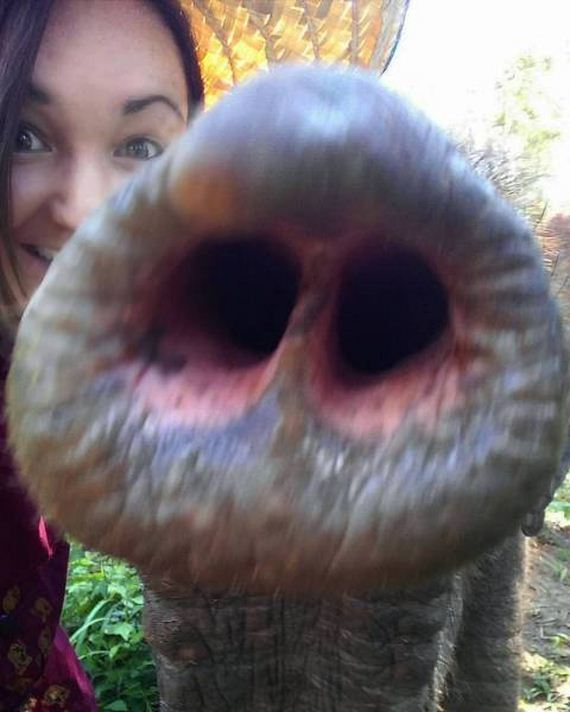 funny-pictures-1096
