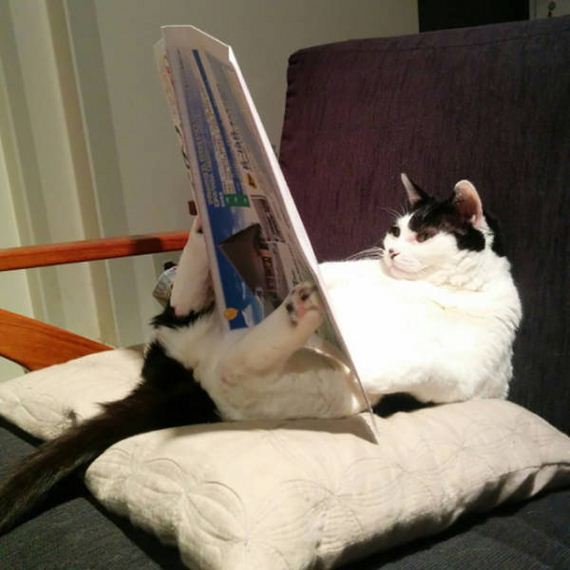 funny-pictures-1096