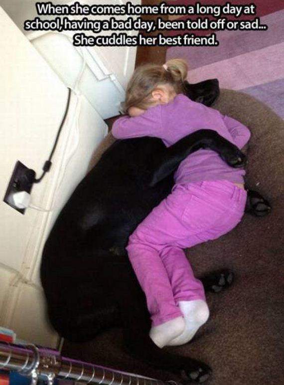 funny-pictures-1099