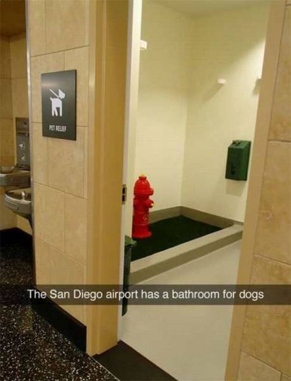 funny-pictures-1099
