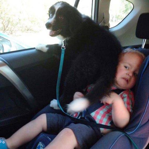 funny-pictures-1099