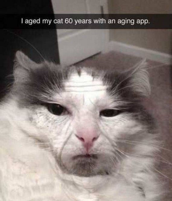 funny-pictures-1099