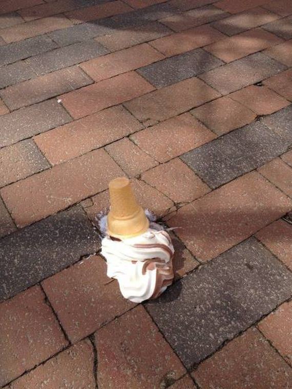 funny-pictures-1099
