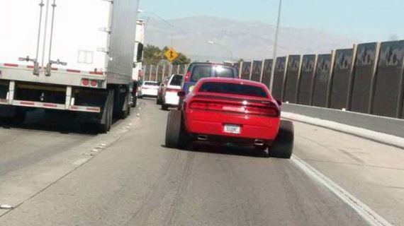 funny-pictures-1100