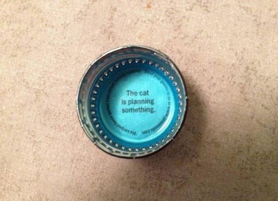 funny-pictures-1100