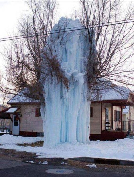 funny-pictures-1100
