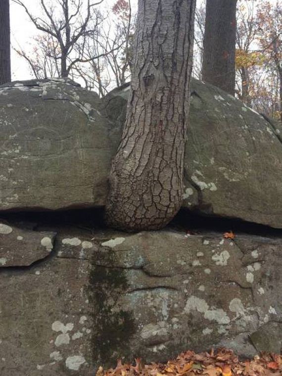 funny-pictures-1100