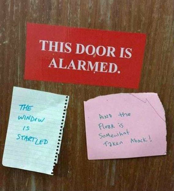 funny-pictures-1100