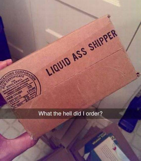 funny-pictures-1101