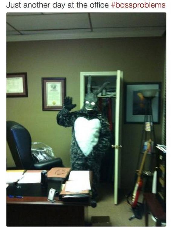 funny-pictures-1101