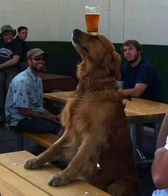 funny-pictures-1101