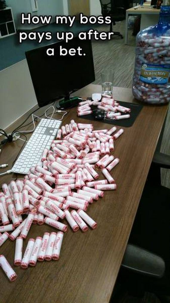 funny-pictures-1101
