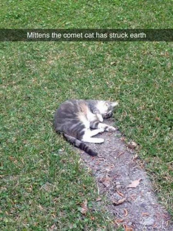 funny-pictures-1103