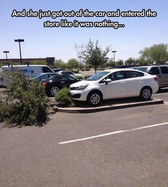 funny-pictures-1103