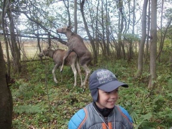 funny-pictures-1104
