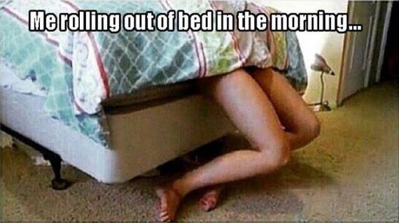 funny-pictures-1104