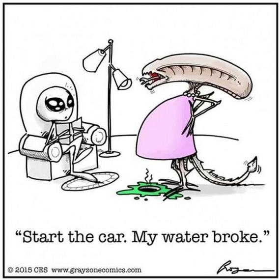 funny-pictures-1104