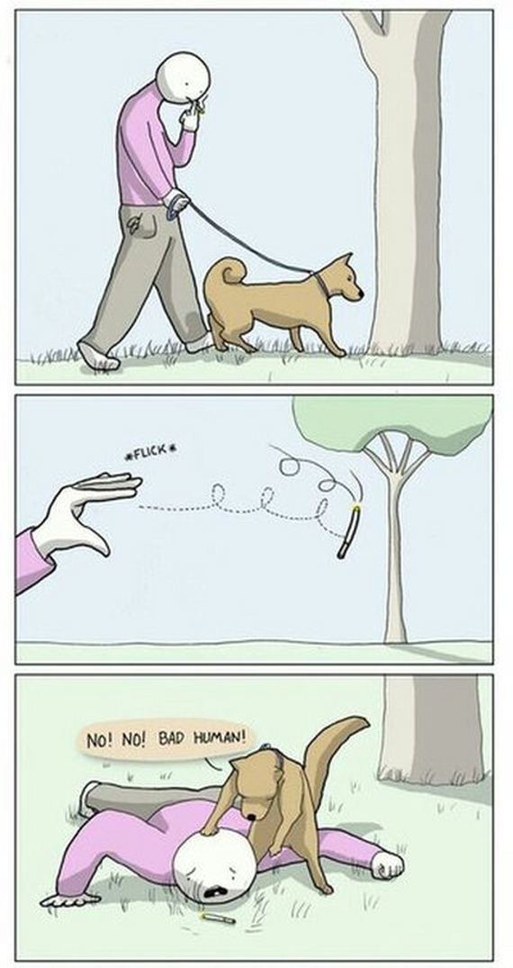 funny-pictures-1104