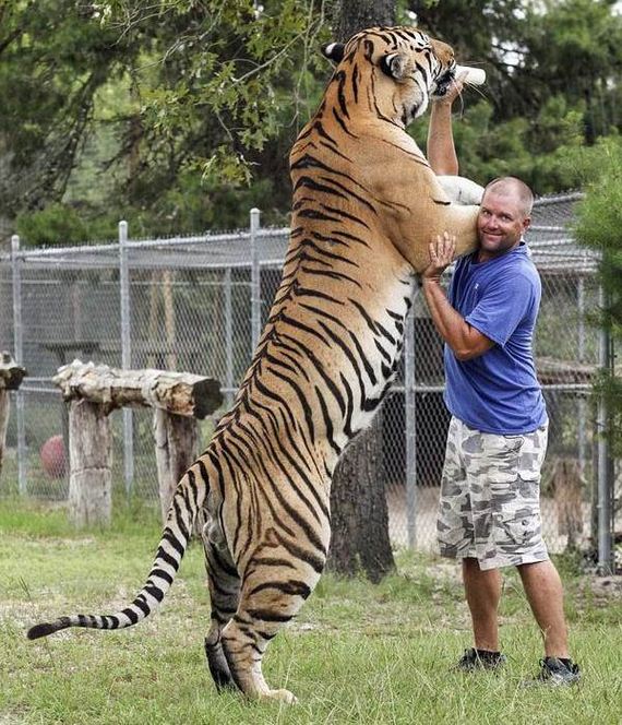 funny-pictures-1104
