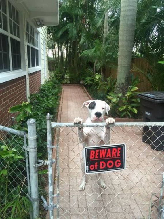 funny-pictures-1104