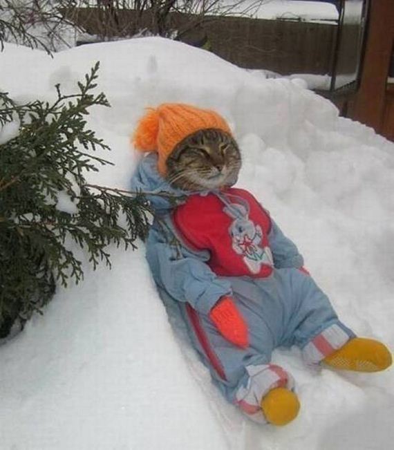 funny-pictures-1104