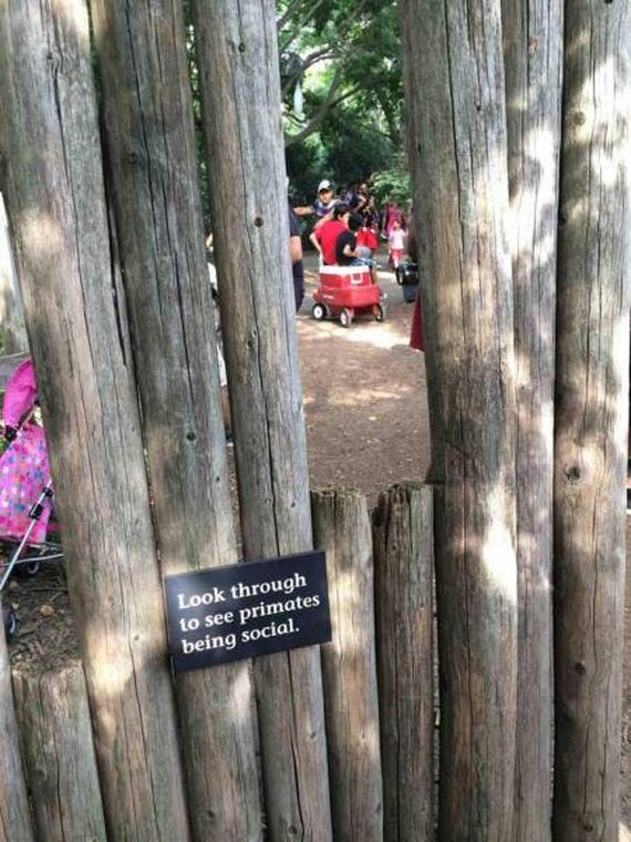funny-pictures-1104