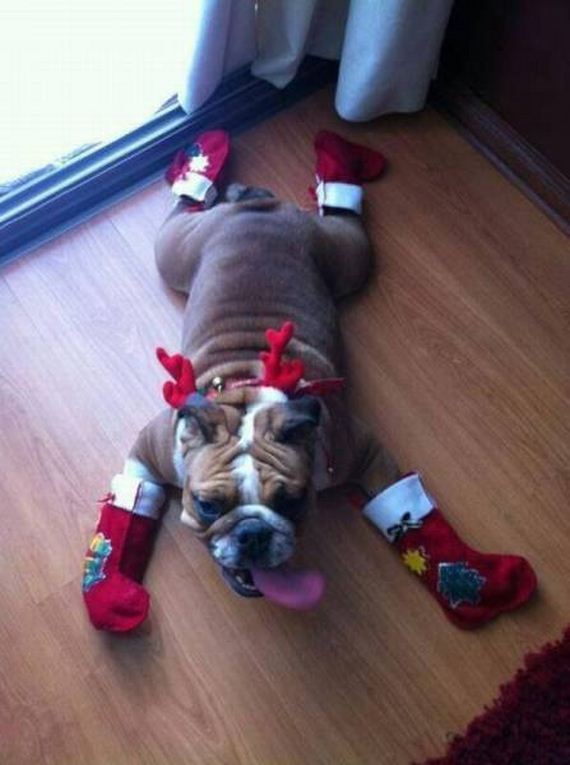 funny-pictures-1104