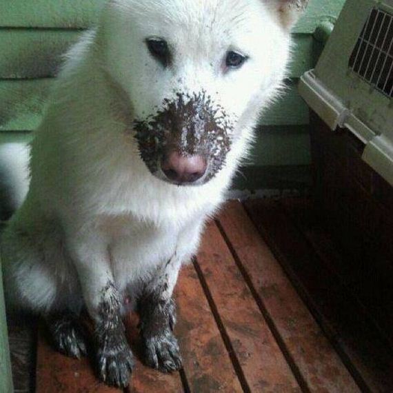funny-pictures-1104