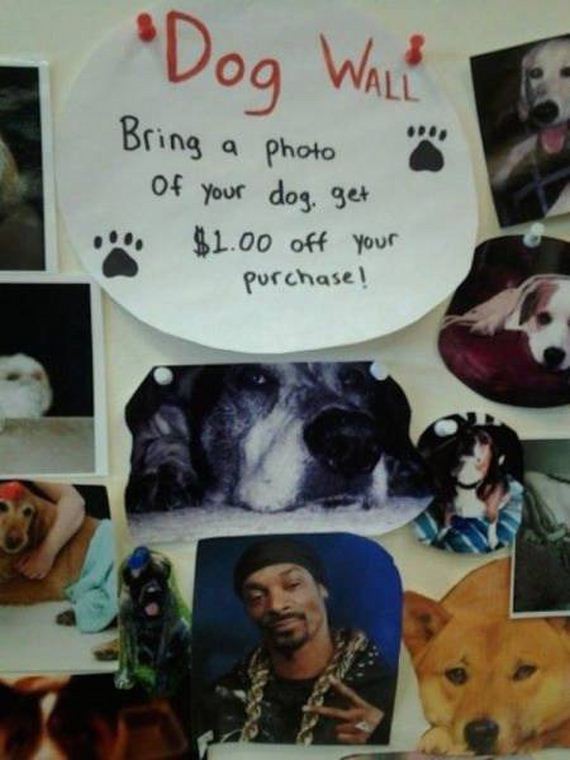 funny-pictures-1104