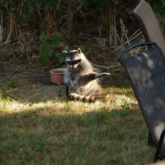 funny-pictures-1104