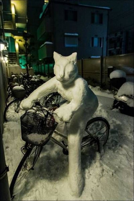 funny-pictures-1106