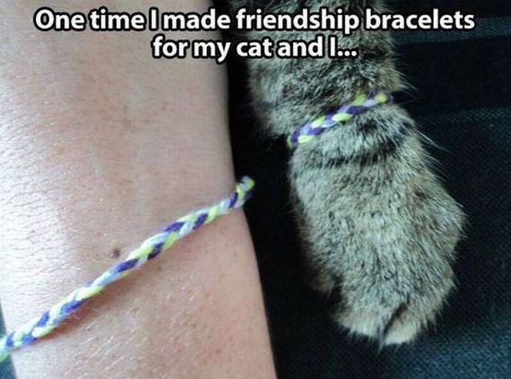 funny-pictures-1106