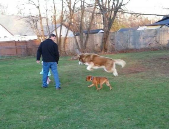 funny-pictures-1106