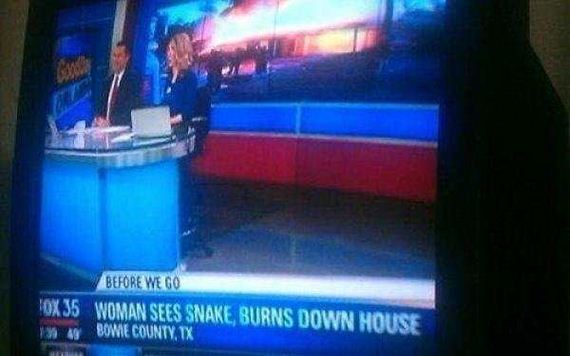 funny-pictures-1107