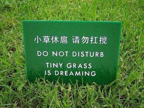 funny-pictures-1107